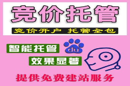 专业SEM推广托管，案例见证效果